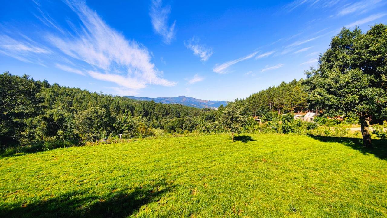 Casa Florestal - Pure Nature Cabins Fatela 외부 사진